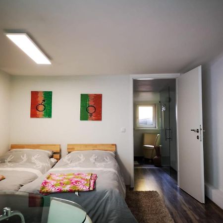 Millenium Inn Ferienwohnung Top 2 Mürzzuschlag Екстериор снимка