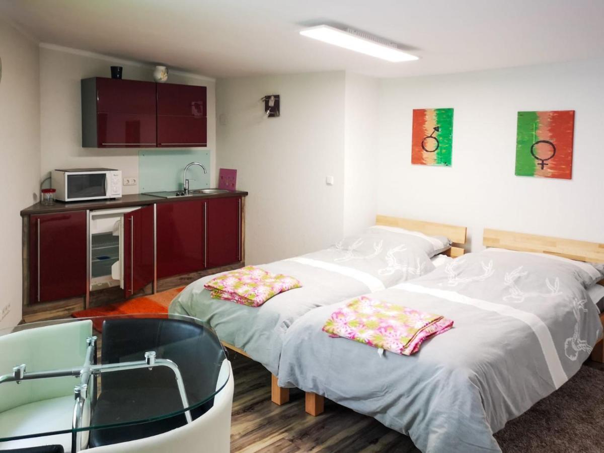 Millenium Inn Ferienwohnung Top 2 Mürzzuschlag Екстериор снимка